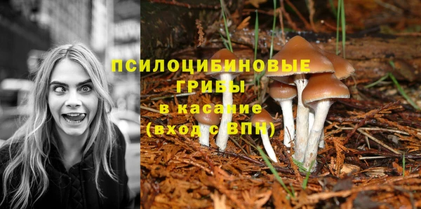 ГАЛЛЮЦИНОГЕННЫЕ ГРИБЫ Абдулино