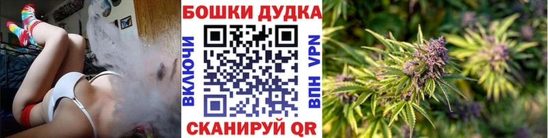 Бошки Шишки White Widow  Великий Новгород 